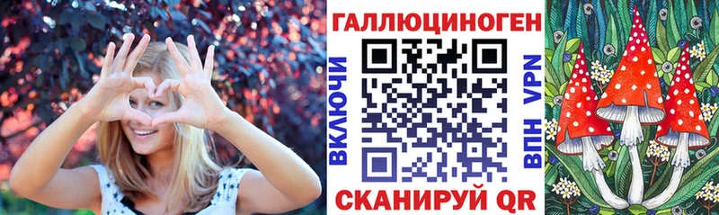 Галлюциногенные грибы мицелий  где можно купить наркотик  Кизляр 