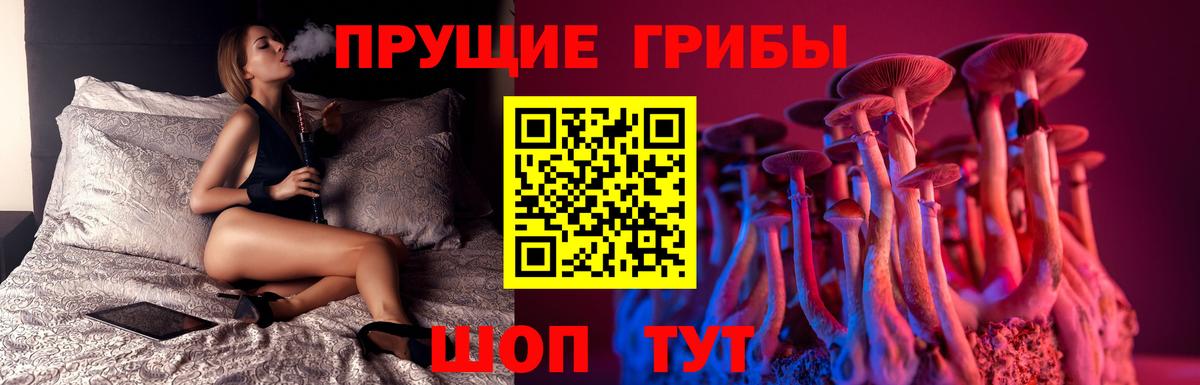 Галлюциногенные грибы MAGIC MUSHROOMS  Вход с VPN  Кизляр 